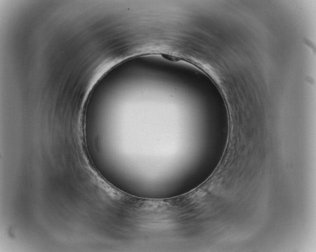 X0000098051056200804071502