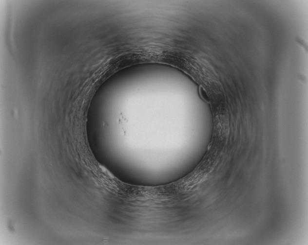 X0000098051057200804071501