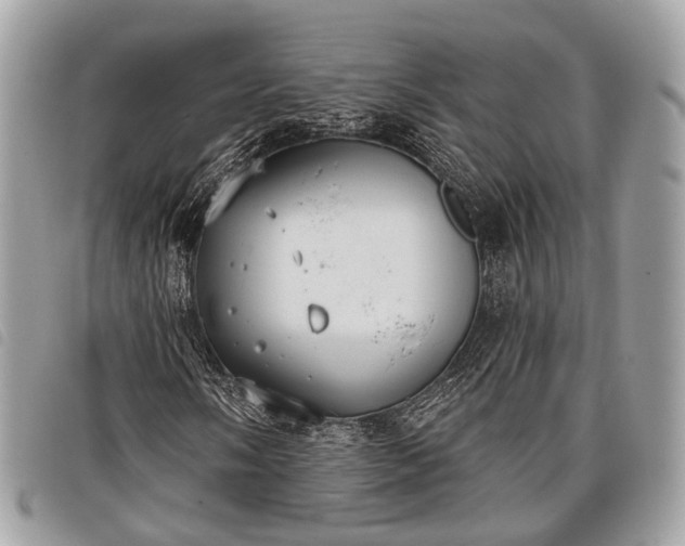 X0000098051058200804071501