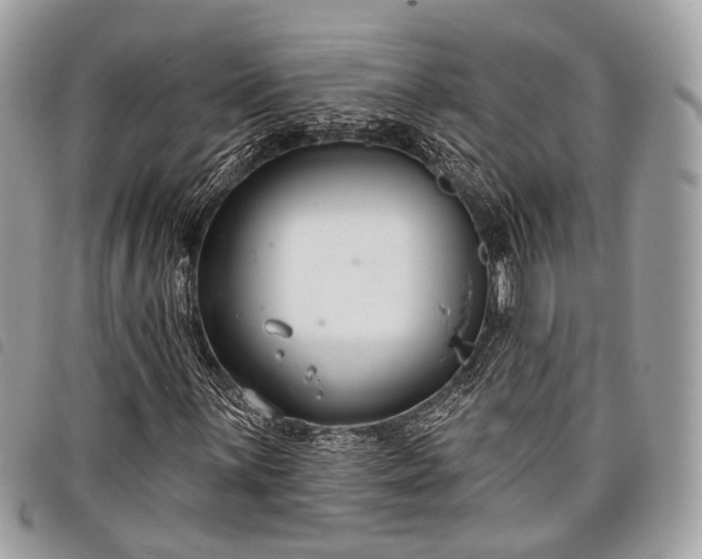 X0000098051059200804071501