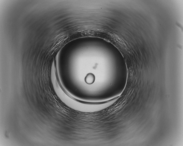 X0000098051060200804071501