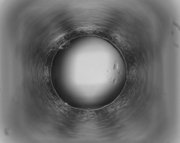 X0000098051062200804071501