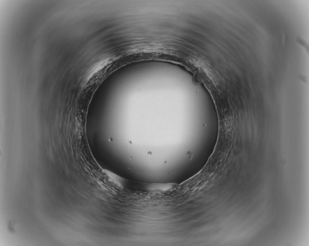 X0000098051064200804071501