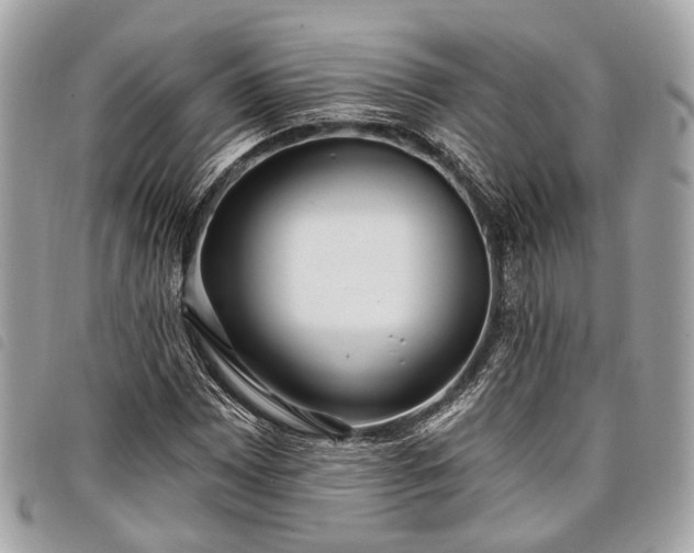 X0000098051065200804071501