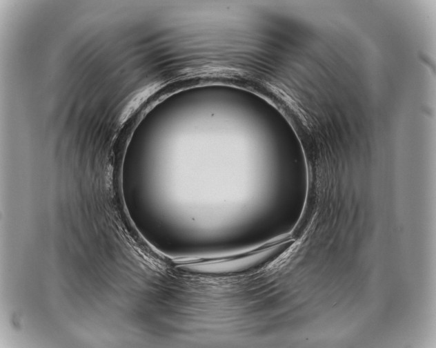 X0000098051066200804071501