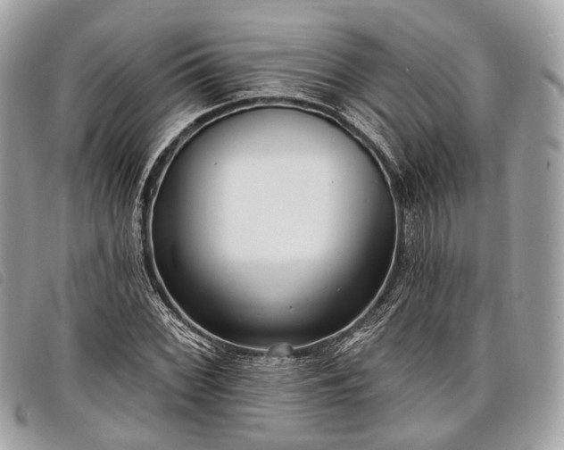 X0000098051068200804071501