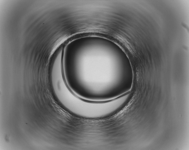 X0000098051069200804071501