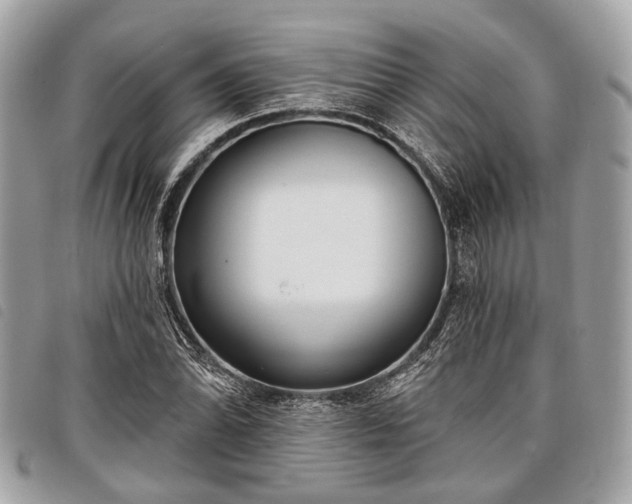 X0000098051070200804071501