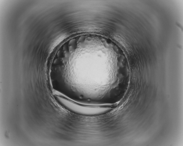 X0000098051071200804071501