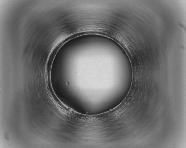 X0000098051072200804071501