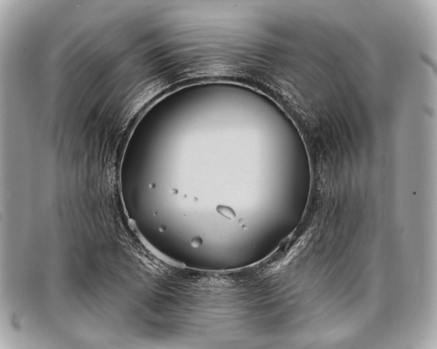 X0000098051073200804071501