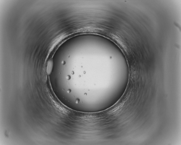 X0000098051075200804071501