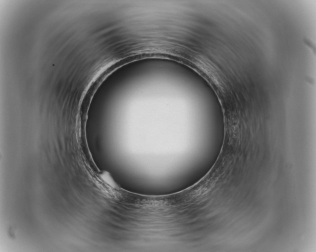 X0000098051076200804071501