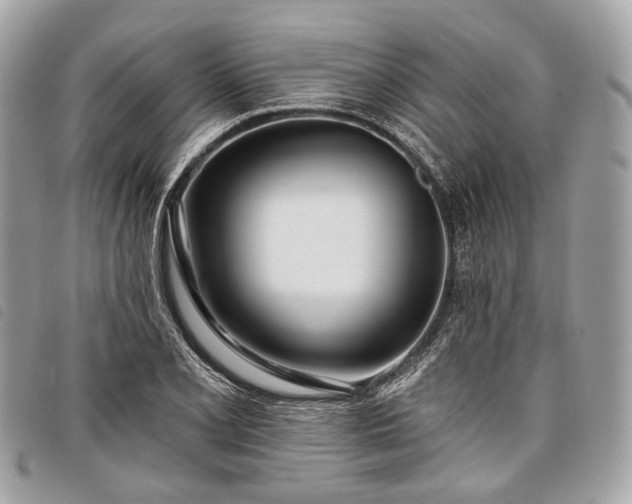 X0000098051077200804071501