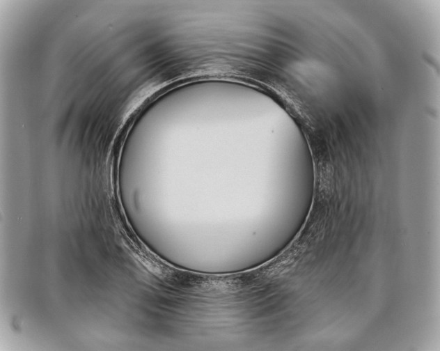 X0000098051078200804071501