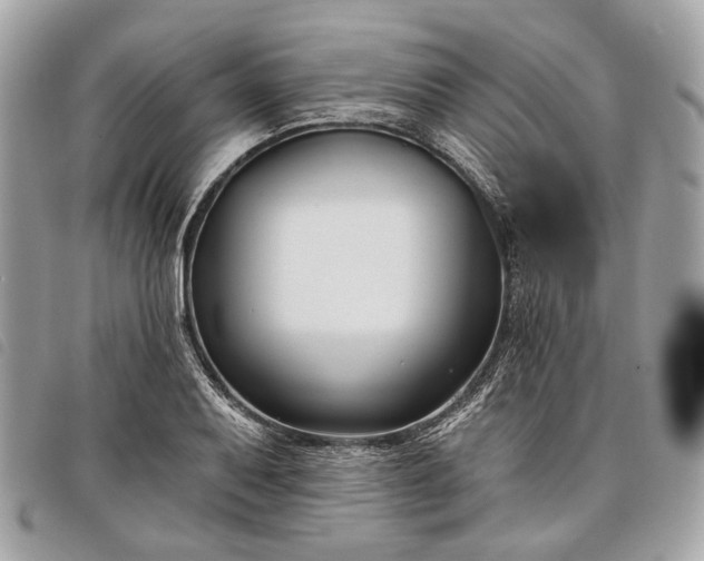 X0000098051079200804071501