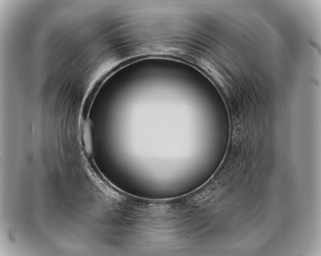 X0000098051080200804071501