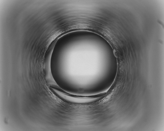 X0000098051081200804071501