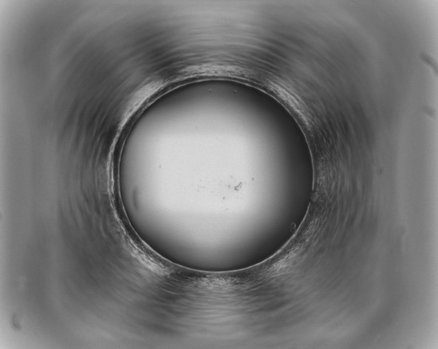 X0000098051082200804071501