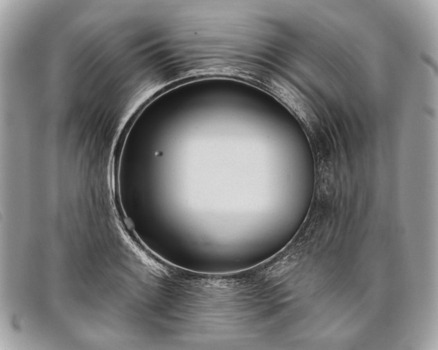 X0000098051084200804071501