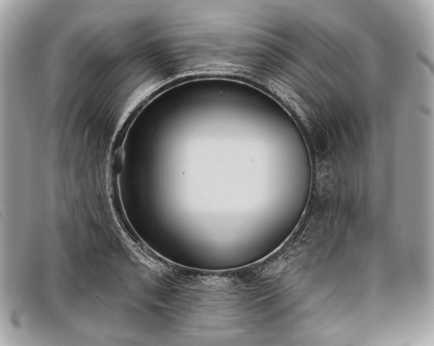 X0000098051085200804071501