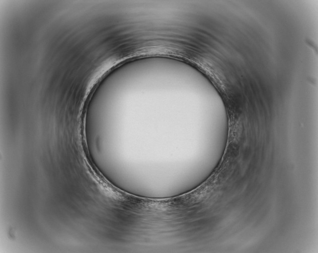 X0000098051086200804071501