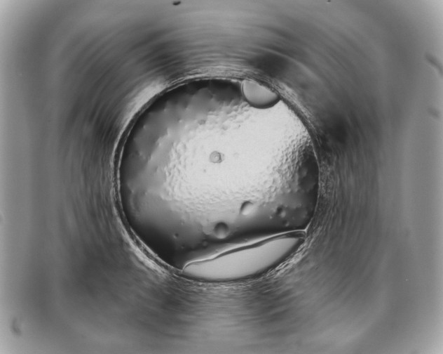 X0000098051087200804071501