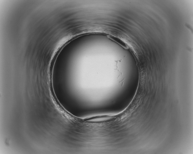 X0000098051088200804071501