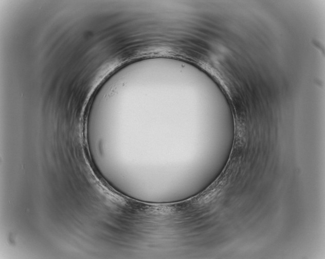 X0000098051090200804071501