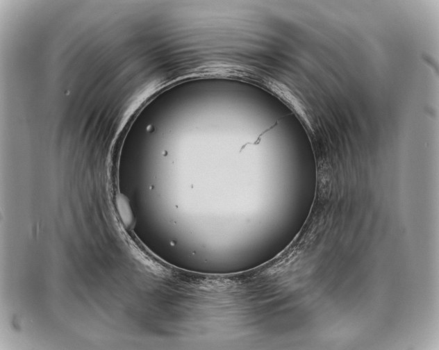 X0000098051091200804071501