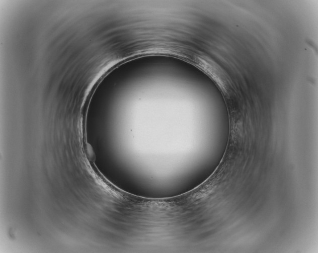 X0000098051092200804071501