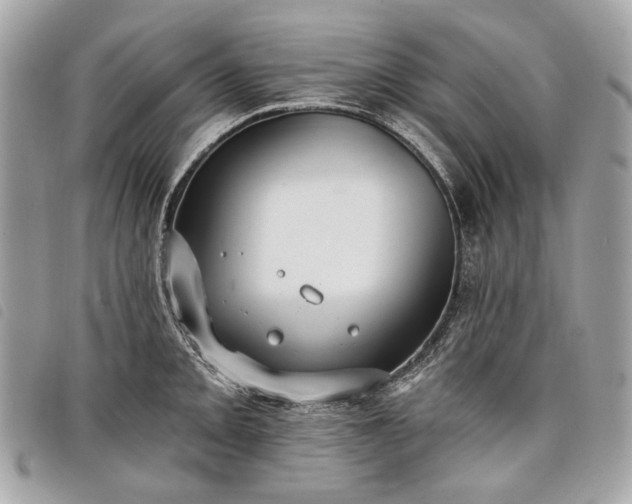 X0000098051093200804071501