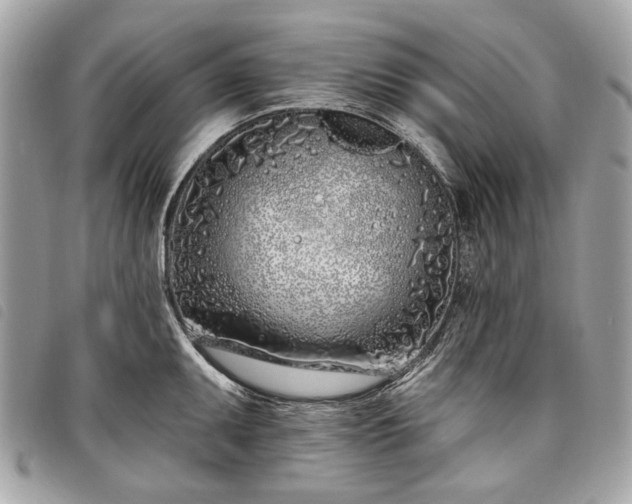 X0000098051095200804071501