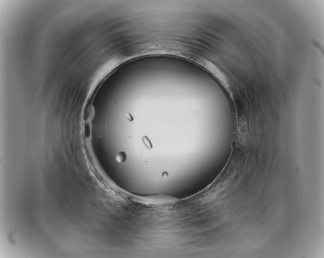 X0000098051096200804071501