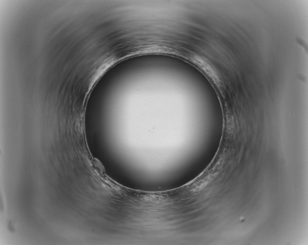 X0000098051097200804071501