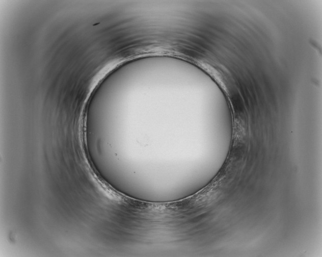 X0000098051098200804071501