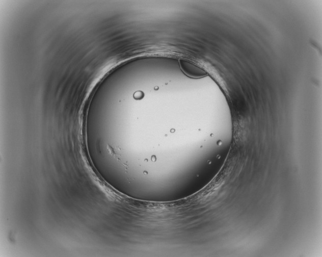 X0000098051099200804071501