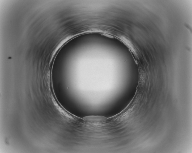 X0000098051100200804071501