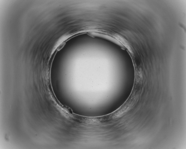 X0000098051101200804071501