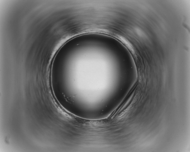 X0000098051102200804071501