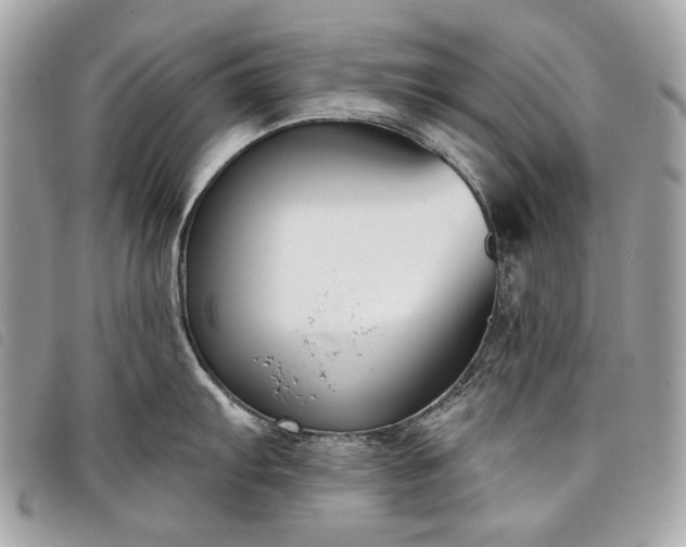 X0000098051103200804071501