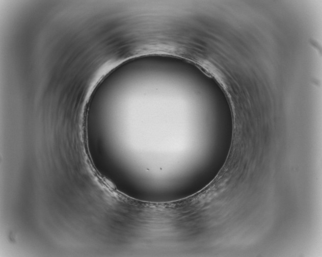 X0000098051104200804071501