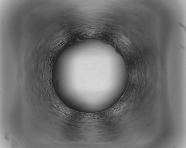 X0000098051105200804071500