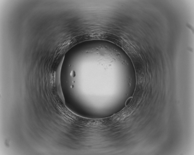 X0000098051106200804071500