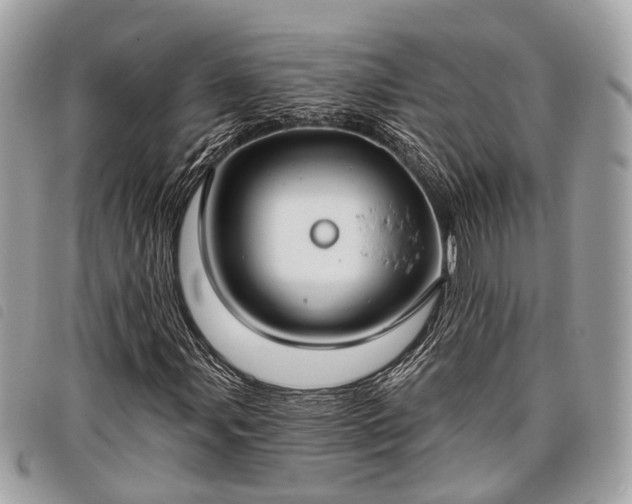 X0000098051107200804071500