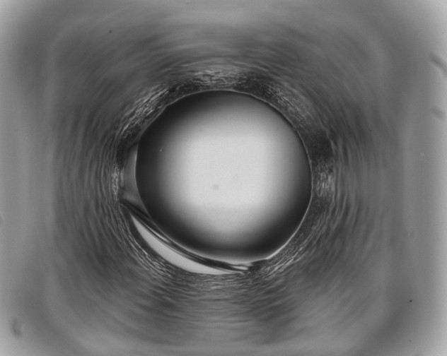 X0000098051108200804071500