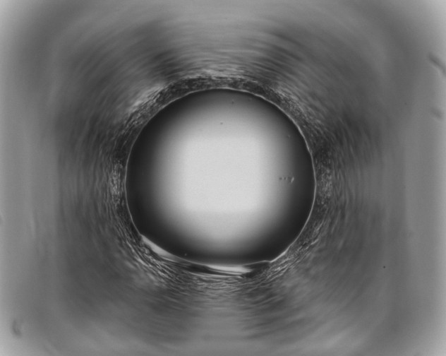 X0000098051110200804071500