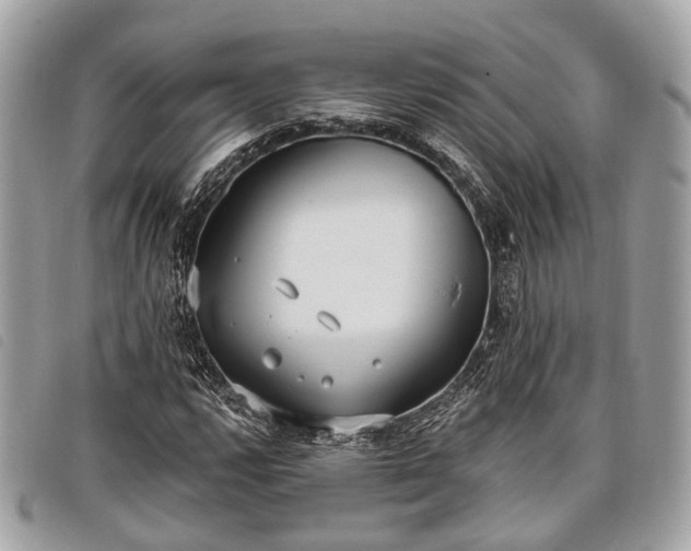 X0000098051112200804071500