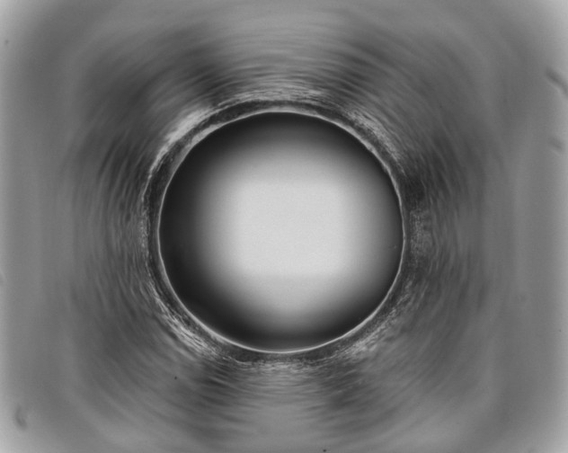 X0000098051114200804071500