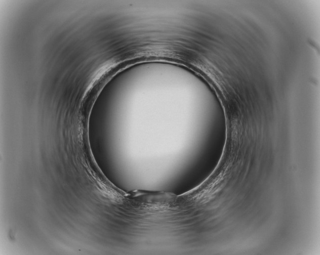 X0000098051115200804071500